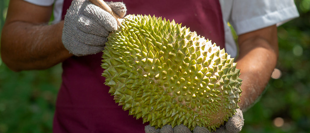 Durian